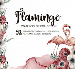 39张高清背景透明的北欧风水彩植物/火烈鸟PNG图片：Flamingo. Watercolor collection
